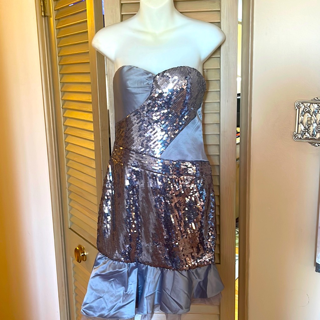 Lucy And Company Silver Little Dress Brand New